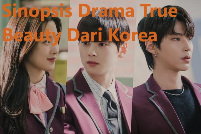 Sinopsis Drama True Beauty Dari Korea